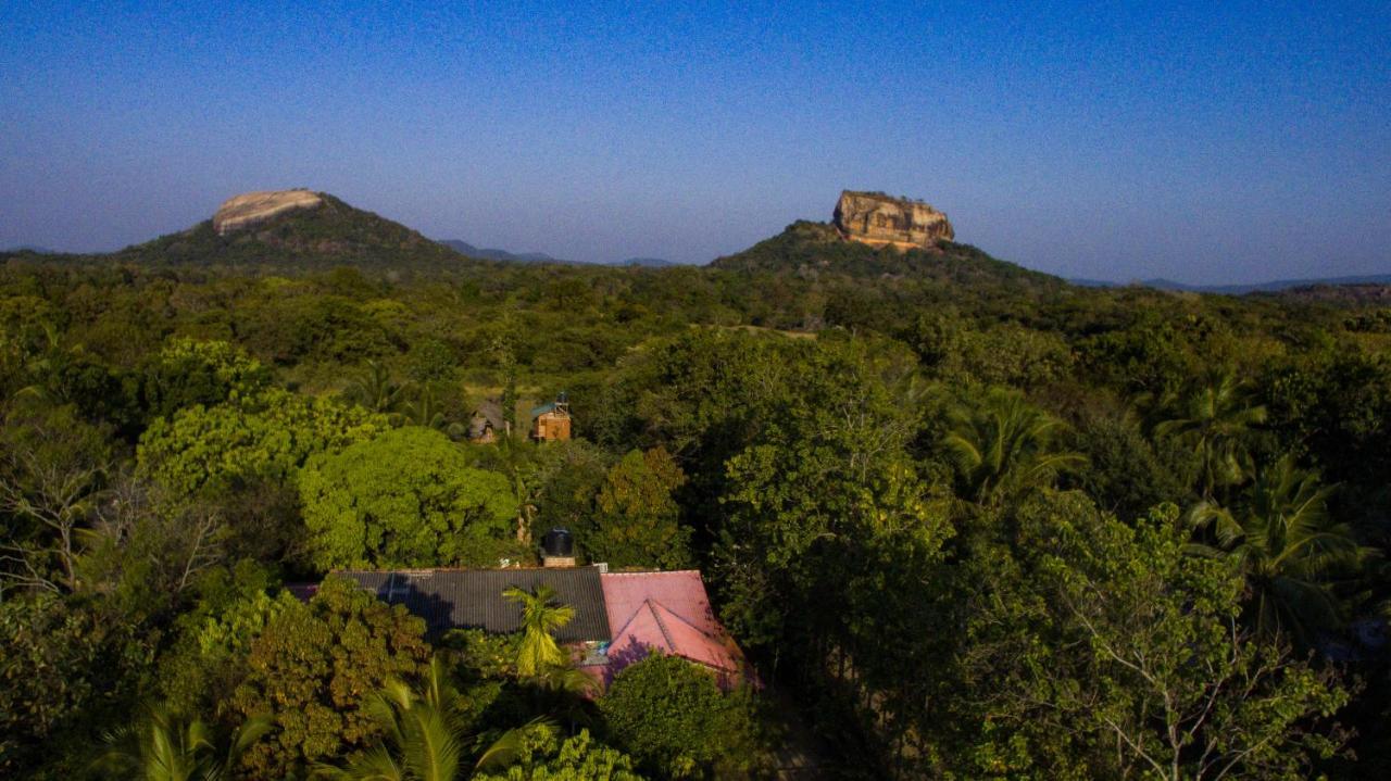 Hotel Sigiriya Rock Gate Tree House Esterno foto