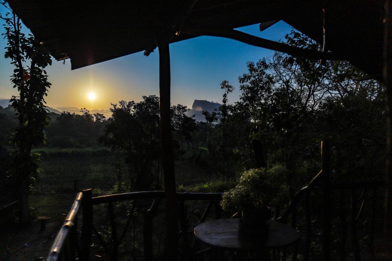 Hotel Sigiriya Rock Gate Tree House Esterno foto