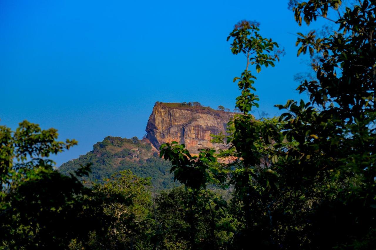 Hotel Sigiriya Rock Gate Tree House Esterno foto