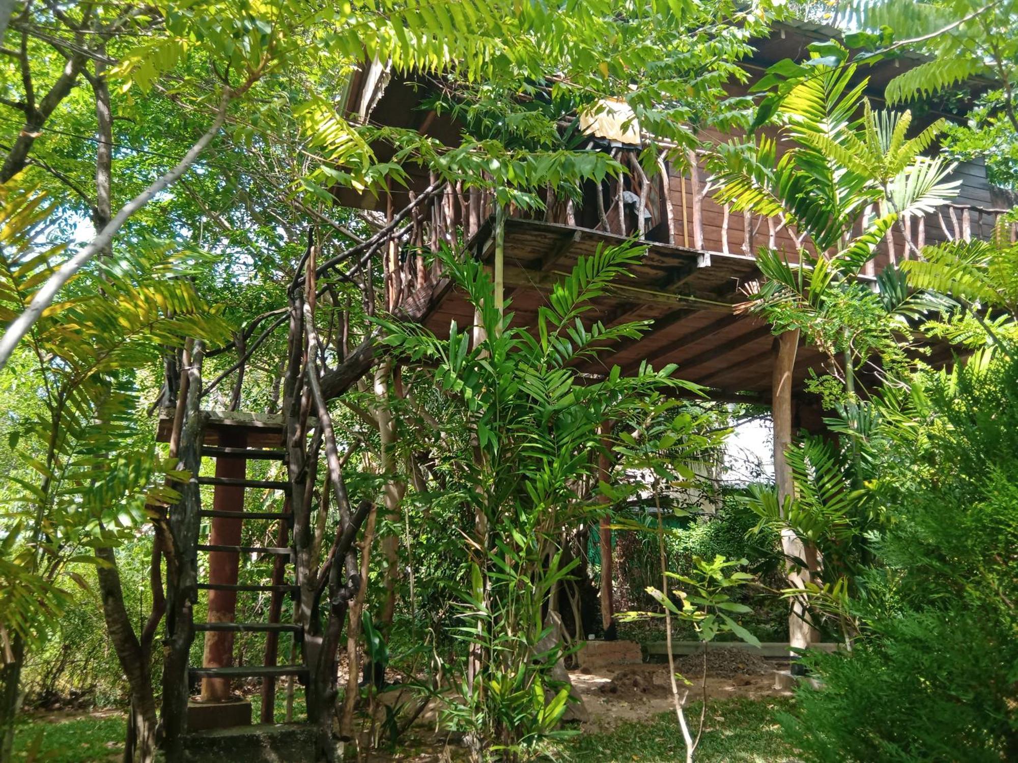 Hotel Sigiriya Rock Gate Tree House Esterno foto