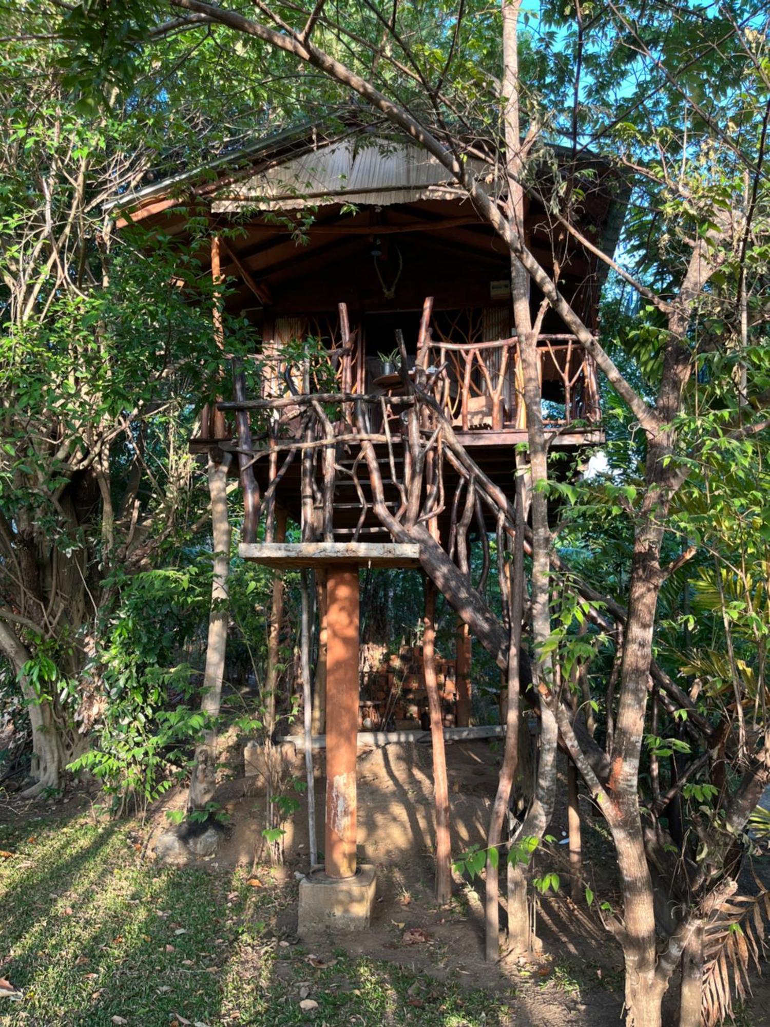 Hotel Sigiriya Rock Gate Tree House Camera foto