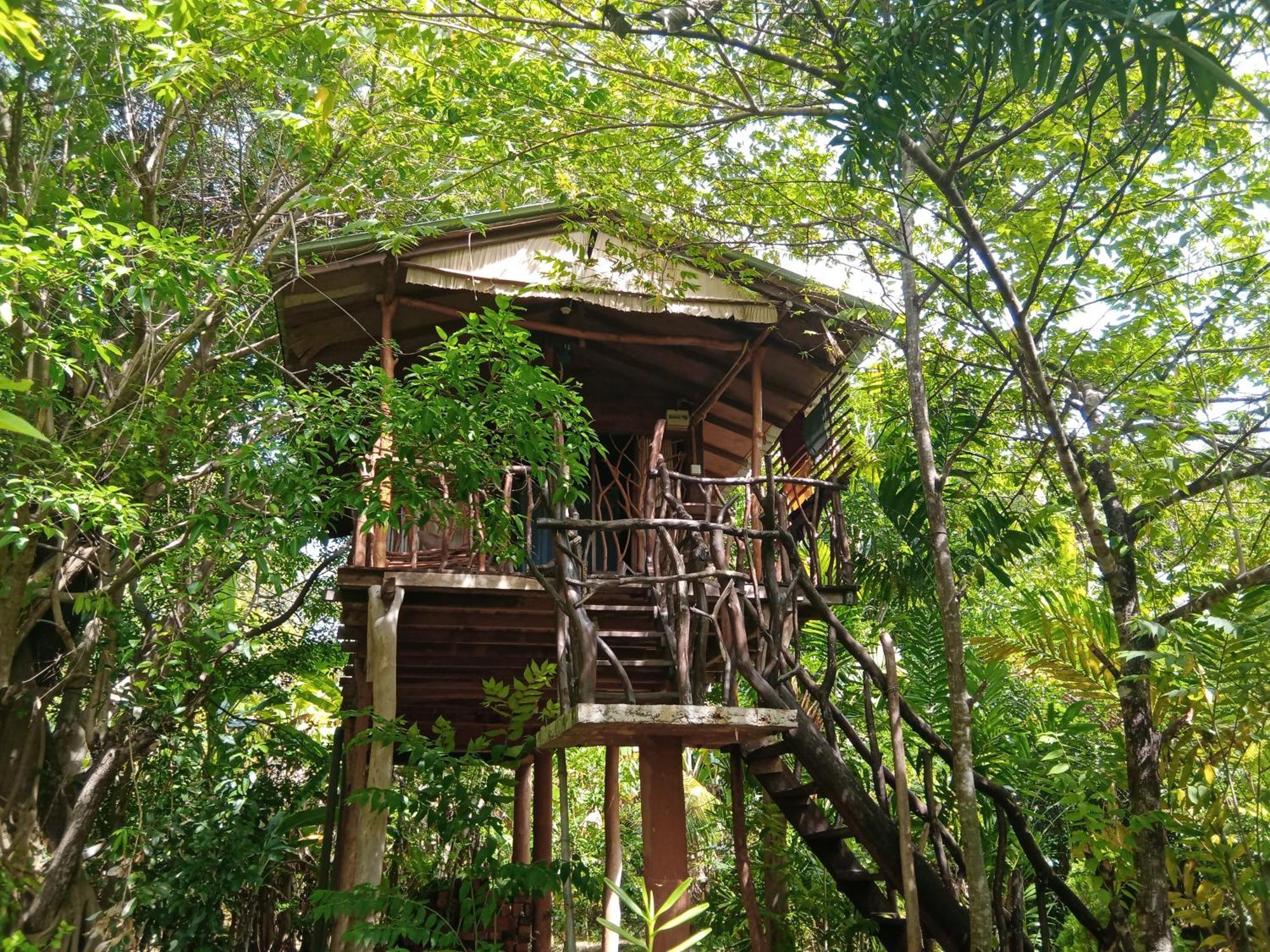 Hotel Sigiriya Rock Gate Tree House Camera foto